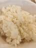 越前日本越光品種大米 4.5kg*1包 壽司米飯團米 東北東港產(chǎn)區 10斤 曬單實(shí)拍圖