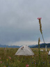 牧高笛（MOBIGARDEN）冷山2帳篷 戶外露營徒步防風(fēng)防雨雙人帳篷 MZ093005 晨霧白A 曬單實(shí)拍圖