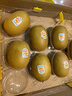 佳沛（zespri）新西蘭  陽(yáng)光金奇異果10粒禮盒巨大果單果約144-175g 水果 獼猴桃 曬單實(shí)拍圖