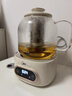 美的（Midea）【國家補貼】0膠水全玻璃全自動養(yǎng)生壺 1.2L大容量辦公室多功能茶漏煮茶壺 燒水壺24h恒溫可煮小米 0膠水全玻璃帶濾網(wǎng)MK-YS12B102 1.2L 曬單實拍圖
