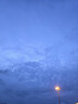 雅鹿內(nèi)褲男純棉加肥加大碼養(yǎng)護(hù)人參枸杞平角寬松肥佬胖子四角短褲頭 曬單實(shí)拍圖