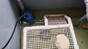 森森 SUNSUN 魚缸底吸泵潛水立式低水位抽水泵魚缸循環(huán)水泵JGP-1500L 曬單實(shí)拍圖