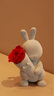 ROSEONLY 諾誓永生花玫瑰公仔甜心兔告白熊嘻嘻貓獨(dú)角獸送女友生日七夕節(jié)禮物 【HOT】甜心兔-中號-紅色 曬單實(shí)拍圖