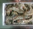 GUO LIAN國聯(lián) 生鮮鹽凍大蝦 無冰凈重3斤 鹽凍特大號45-60只 海產(chǎn)冷凍蝦 曬單實(shí)拍圖