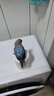 喜帥 鳥籠X103 鸚鵡籠子虎皮牡丹觀賞籠玄鳳文鳥大空間家用養(yǎng)殖鳥籠子 曬單實(shí)拍圖