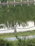 美素佳兒源悅幼兒配方奶粉（12-36月齡，3段）罐裝800g*3新老包裝隨機發(fā)貨 曬單實拍圖