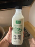 京鮮生 無(wú)籽麒麟西瓜 1粒裝 單果5-7斤  生鮮水果 曬單實(shí)拍圖