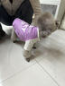 WAKYTU狗狗衣服秋冬夏季薄款法斗小狗春秋泰迪小型犬貓咪寵物T恤雪納瑞 薰衣草紫S碼【適用于7-10斤愛(ài)寵 曬單實(shí)拍圖