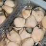 新鮮原漿生蠔肉去殼冷凍生蠔肉海捕現剝純肉無(wú)沙蠔 現剝生蠔無(wú)沙款 500克*1盒裝 曬單實(shí)拍圖