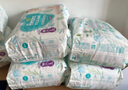 幫寶適（Pampers）清新幫尿不濕嬰兒紙尿褲拉拉褲 L42片【拉拉褲】 曬單實(shí)拍圖
