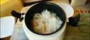 歐之寶（OUSHIBA）歐之寶車(chē)載電飯煲12v小轎車(chē)24v貨車(chē)220v智能迷你車(chē)家兩用小型飯煲 12v小車(chē)微壓一體煲白色1.6 0L 曬單實(shí)拍圖