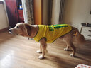 咪貝萌大狗狗衣服中大型犬夏季薄款背心春秋裝金毛薩摩耶拉布拉多哈士奇 黃色10號-巴西隊 6XL-胸圍98CM 曬單實(shí)拍圖