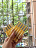 透真左旋vc次拋精華液減黃提亮暗沉醫(yī)美用白維c煙酰胺抗皺緊致抗氧化 曬單實(shí)拍圖