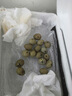 龍王恨魚(yú)餌藍鯽X5香腥綜合通殺餌料江河黑坑野釣鯽鯉草鳊鰱魚(yú)食釣魚(yú)餌料 曬單實(shí)拍圖