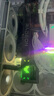 華碩（ASUS）AMD RADEON RX9070XT/9070GRE 12G 16G 游戲AI渲染設(shè)計(jì)智能學(xué)習(xí)臺式電腦獨(dú)立顯卡 TUF-RX9070XT-O16G-GAMING 曬單實(shí)拍圖