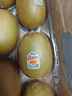 佳沛（zespri）新西蘭  陽光金奇異果25-27粒原箱特大果單果約122-146g  獼猴桃 曬單實拍圖