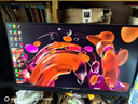 泰坦軍團(tuán)24.5英寸 1152分區(qū) MiniLED 2K 320Hz DyDs技術(shù) RGB背光燈 升降旋轉(zhuǎn)1msGTG專業(yè)電競(jìng)顯示器P245MS+  曬單實(shí)拍圖