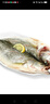 海名威 冷凍三去海鱸魚(yú)880g/2條 (配料包) 海魚(yú) 生鮮魚(yú)類(lèi) 海鮮水產(chǎn)  曬單實(shí)拍圖