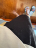 蕉內(nèi)（Bananain）王一博同款305H純棉睡衣男女士100%棉情侶家居服短袖短褲套裝夏季 【短褲款素色-男】茶灰 XL 曬單實拍圖