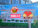 VVC成毅同款防曬褲女闊腿褲女新款夏季高腰寬松直筒戶外休閑褲 曜石黑 L 【165-175cm 60-68kg】 曬單實(shí)拍圖