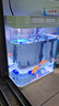 寵街坊小魚缸一體缸自循環(huán)水族箱桌面客廳小型送禮生態(tài)魚缸造景240 曬單實拍圖