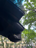 PAPAGO!行車記錄儀專車專用免走線適用雷克薩斯ES200/ES300h專用NX/RX/UX 【超清款】單鏡頭 官方標(biāo)配+【32G內(nèi)存卡】 曬單實(shí)拍圖