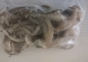 冷凍帶脖魷魚(yú)須 燒烤火鍋食材 去牙去頭二本足 鐵板魷魚(yú)爪 帶脖魷魚(yú)須 2斤(凈重) 曬單實(shí)拍圖