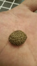 胖大海干果500g克正品中藥材泡水喝羅漢果金銀花菊花咽炎茶 胖大海250g*1罐 曬單實(shí)拍圖