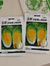 北蔬 黃心娃娃菜種子四季小白菜秋冬季蔬菜種子 農(nóng)家黃心娃娃菜種子5g 曬單實拍圖