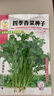 鳳鳴雅世四季香菜籽種大小葉蔬菜種孑新老品種香菜籽四季香菜種子10克 曬單實(shí)拍圖