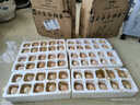 谷物鮮雞蛋 農(nóng)戶散養(yǎng)新鮮雞蛋 單枚40g±5 30枚（40克/枚） 曬單實(shí)拍圖