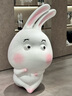 索尼（SONY）HVL-F46RMA  索尼便攜專業(yè)閃光燈 索尼微單適用 曬單實(shí)拍圖