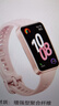華為（HUAWEI）手環(huán)10  標(biāo)準(zhǔn)版 七夕禮物智能手環(huán)情緒健康專業(yè)睡眠監(jiān)測健身長續(xù)航運動男女手環(huán)【華為官方授權(quán)】 拂曉粉 氟膠款 曬單實拍圖