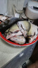 美人魚(yú)法國斑點(diǎn)線(xiàn)隱形釣魚(yú)線(xiàn)主線(xiàn)子線(xiàn)大物巨物鰱鳙青魚(yú)線(xiàn)拉力強柔軟耐磨 主子通用100米 2.5號 曬單實(shí)拍圖