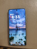 一加 13 12GB+512GB 白露晨曦 國家補貼 高通驍龍?8至尊版 6000mAh 冰川電池 oppo智能AI游戲5G手機 曬單實拍圖