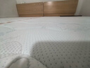 雅蘭（AIRLAND） 學(xué)生宿舍床墊90x190上下鋪單雙人榻榻米租房記憶棉薄墊 樂(lè )天派 樂(lè )天派9cm【含乳膠】 1.2*2m 曬單實(shí)拍圖