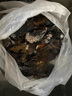 柒島海捕大青口貝鮮活特大海虹淡菜新鮮冷凍海鮮貽貝青口貝水產(chǎn) 3斤(凈重)  鮮活海鮮會吐水 曬單實拍圖