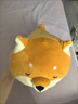名創(chuàng)優(yōu)品（MINISO）柴犬系列毛絨公仔趴姿玩具娃娃抱枕睡覺室內(nèi)臥室辦公室生日禮物 曬單實拍圖