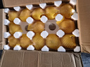 粵迎正宗山東蒙陰黃桃黃毛桃現(xiàn)摘桃子當(dāng)季新鮮水果現(xiàn)摘現(xiàn)發(fā)水果生鮮 5斤精選裝【果農(nóng)手挑】凈4.5斤 曬單實拍圖