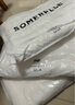 安睡寶（SOMERELLE） 全棉枕頭抗菌定型枕護頸枕睡眠枕芯低中頸椎枕學(xué)生宿舍家用 艾蕾絲定型低枕（48*74cm） 曬單實(shí)拍圖