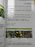 全圖解柑橘生產(chǎn)痛點(diǎn)難點(diǎn)及解決方案 柑橘種植書(shū)籍 蘆柑砂糖橘桔子橘子樹(shù)栽培技術(shù)大全 柑橘病蟲(chóng)害防治技術(shù) 全圖解柑橘生產(chǎn)痛點(diǎn)難點(diǎn)及解決方案 曬單實(shí)拍圖