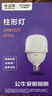 公牛（BULL）LED燈泡高亮柱形燈廠房車間商超食堂 30W球泡白光6500KE27螺口 曬單實(shí)拍圖