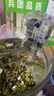 寵小帥  魚(yú)缸迷你過(guò)濾器水循環(huán)瀑布小型魚(yú)缸外置壁掛三合一凈水增氧水泵 【升級(jí)款】除油膜過(guò)濾器 曬單實(shí)拍圖