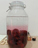 喜碧（Scybe）泡酒容器 密封罐10斤裝泡酒專用瓶泡菜壇子泡酒瓶腌菜瓶潘多拉5L 曬單實(shí)拍圖