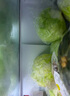 綠食者 球生菜10斤 漢堡用西生菜圓生菜西餐沙拉色拉食材 健康輕食蔬菜 10斤 曬單實(shí)拍圖