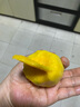 【新鮮當(dāng)季新鮮】金煌芒大青芒芒果 帶箱4斤【單果250g+】 曬單實拍圖