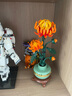 樂(lè )高（LEGO）積木拼裝10369傲骨梅+10368黃金菊雙組套 曬單實(shí)拍圖