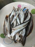多春魚(yú)新鮮滿(mǎn)籽新鮮多籽魚(yú)帶籽冷凍肉質(zhì)細嫩鮮活毛鱗魚(yú)柳葉魚(yú)海魚(yú) 500g(1斤1包) 家庭下酒菜 超大【12-16厘米】滿(mǎn)籽3斤 曬單實(shí)拍圖