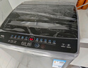 TCL 8公斤小型波輪洗衣機全自動家用 L2R大容量一級能效 家電國家補貼以舊換新 送裝一體B80L2R 曬單實拍圖