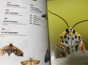 中國國家地理普林斯頓大學(xué)生物圖鑒 昆蟲(chóng)微生物動(dòng)植物海洋生物自然百科科普讀物書(shū)籍 昆蟲(chóng)世界三冊套裝（甲蟲(chóng)+飛蛾+蝴蝶） 曬單實(shí)拍圖